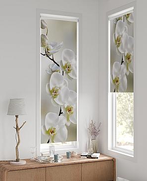 Рулонная штора «Лингрос - 19 - ширина 52 см» | фото 2