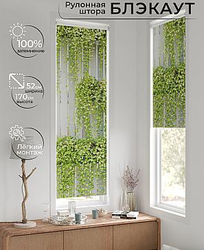 Рулонная штора «Лингрос - 16 - ширина 52 см» | фото
