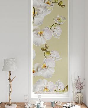 Рулонная штора «Нертис - 128 - ширина 57 см» | фото 3