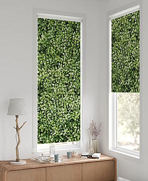 Рулонная штора «Нертис - 60 - ширина 57 см» | фото 2