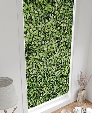 Рулонная штора «Нертис - 60 - ширина 57 см»