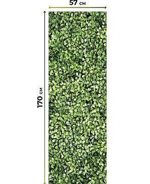 Рулонная штора «Нертис - 60 - ширина 57 см»