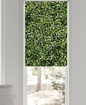 Рулонная штора «Нертис - 60 - ширина 57 см»