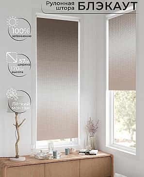Рулонная штора «Нертис - 43 - ширина 57 см» | фото