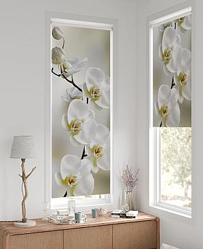 Рулонная штора «Нертис - 19 - ширина 57 см» | фото 2