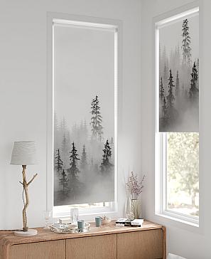 Рулонная штора «Фиреда - 165 - ширина 62 см» | фото 2