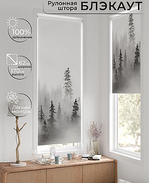 Рулонная штора «Фиреда - 165 - ширина 62 см» | фото