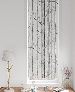 Рулонная штора «Фиреда - 136 - ширина 62 см» | фото 3