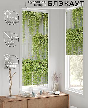 Рулонная штора «Фиреда - 16 - ширина 62 см» | фото