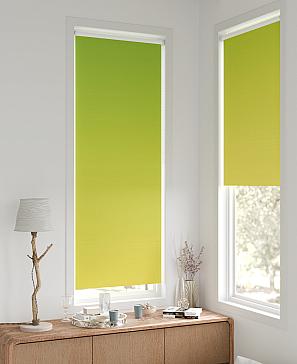 Рулонная штора «Легроса - 167 - ширина 68 см» | фото 2