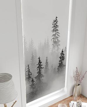 Рулонная штора «Легроса - 165 - ширина 68 см»