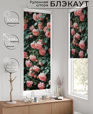 Рулонная штора «Легроса - 164 - ширина 68 см» | фото