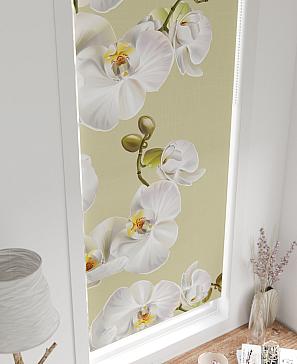 Рулонная штора «Легроса - 128 - ширина 68 см»