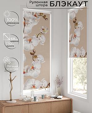 Рулонная штора «Легроса - 127 - ширина 68 см» | фото