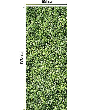 Рулонная штора «Легроса - 60 - ширина 68 см»