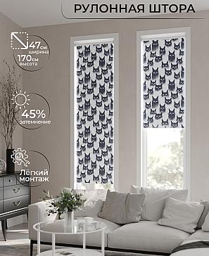 Рулонная штора «Ранфрик - 209 - ширина 47 см» | фото