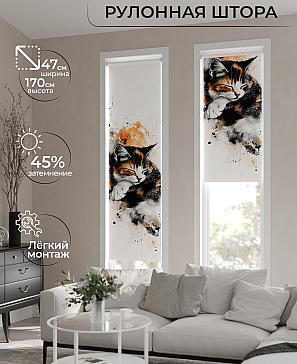 Рулонная штора «Ранфрик - 223 - ширина 47 см» | фото