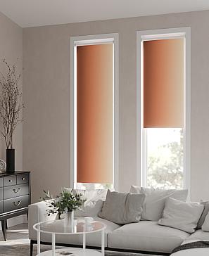 Рулонная штора «Ранфрик - 235 - ширина 47 см» | фото 2