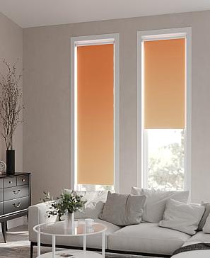 Рулонная штора «Ранфрик - 243 - ширина 47 см» | фото 2