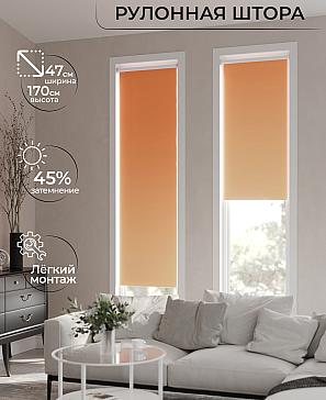 Рулонная штора «Ранфрик - 243 - ширина 47 см» | фото