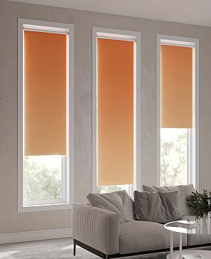 Рулонная штора «Ранфрик - 243 - ширина 47 см»