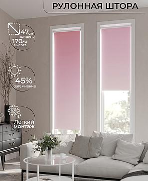 Рулонная штора «Ранфрик - 246 - ширина 47 см» | фото