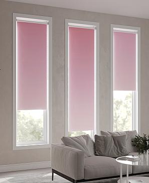 Рулонная штора «Ранфрик - 246 - ширина 47 см»