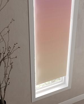 Рулонная штора «Ранфрик - 247 - ширина 47 см»