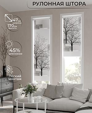 Рулонная штора «Ранфрик - 262 - ширина 47 см» | фото