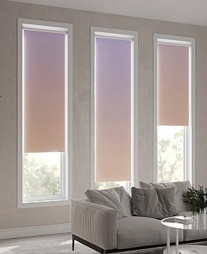 Рулонная штора «Ранфрик - 281 - ширина 47 см»