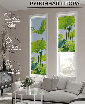 Рулонная штора «Ранфрик - 291 - ширина 47 см» | фото