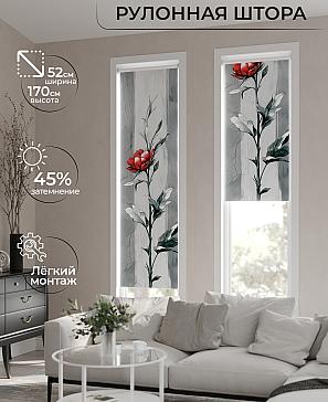 Рулонная штора «Лимкис - 298 - ширина 52 см» | фото