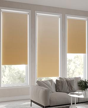 Рулонная штора «Клартис - 241 - ширина 62 см»