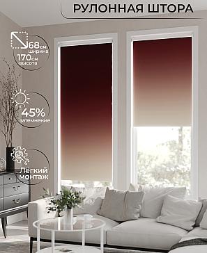 Рулонная штора «Лирикас - 236 - ширина 68 см» | фото