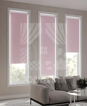 Рулонная штора «Ранфрик - 328 - ширина 47 см»