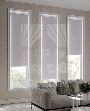 Рулонная штора «Ранфрик - 330 - ширина 47 см»