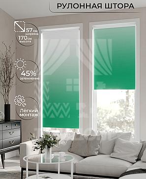 Рулонная штора «Ронлирт - 347 - ширина 57 см» | фото