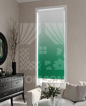 Рулонная штора «Ронлирт - 347 - ширина 57 см» | фото 3