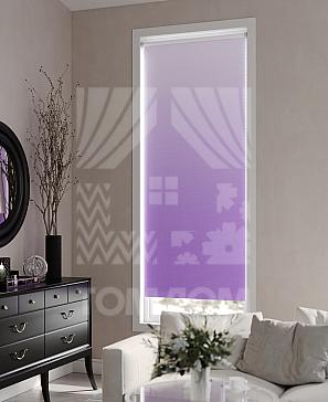 Рулонная штора «Ронлирт - 354 - ширина 57 см» | фото 3