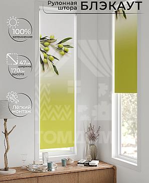 Рулонная штора «Анзара - 307 - ширина 47 см» | фото