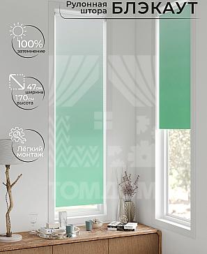 Рулонная штора «Анзара - 339 - ширина 47 см» | фото