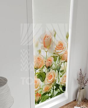 Рулонная штора «Анзара - 421 - ширина 47 см»