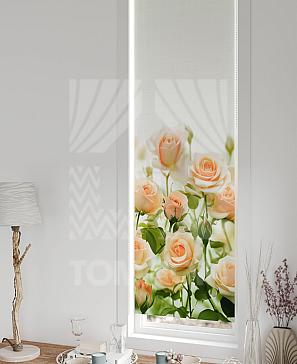 Рулонная штора «Анзара - 421 - ширина 47 см»