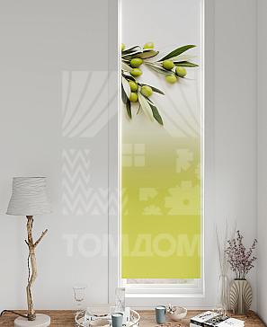 Рулонная штора «Ланетрикс - 307 - ширина 52 см» | фото 3