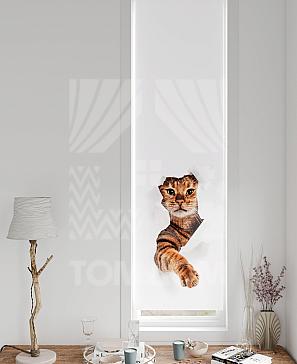 Рулонная штора «Ланетрикс - 422 - ширина 52 см» | фото 3