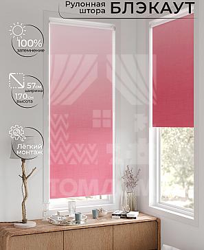 Рулонная штора «Лирстик - 355 - ширина 57 см» | фото