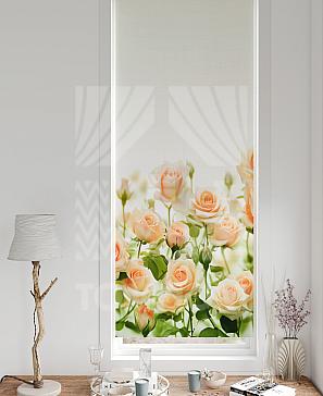 Рулонная штора «Лирстик - 421 - ширина 57 см» | фото 3