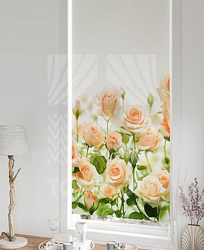 Рулонная штора «Лирстик - 421 - ширина 57 см»