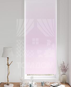 Рулонная штора «Лертонт - 356 - ширина 62 см» | фото 3