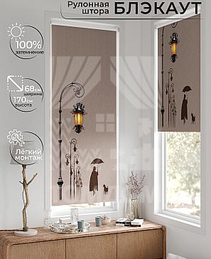 Рулонная штора «Рилварт - 302 - ширина 68 см» | фото